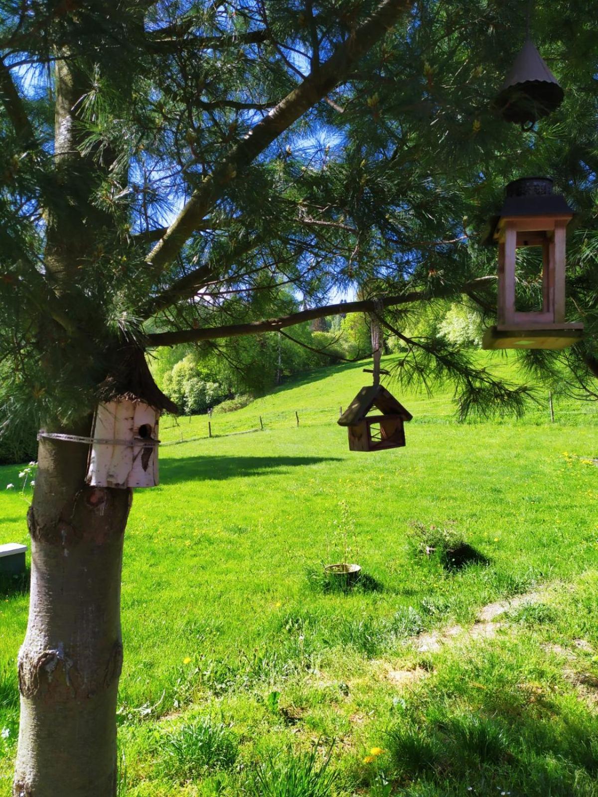 Beba Villa Hermanovice Екстериор снимка